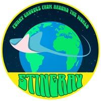 Stingray (Funky World Groove Band)